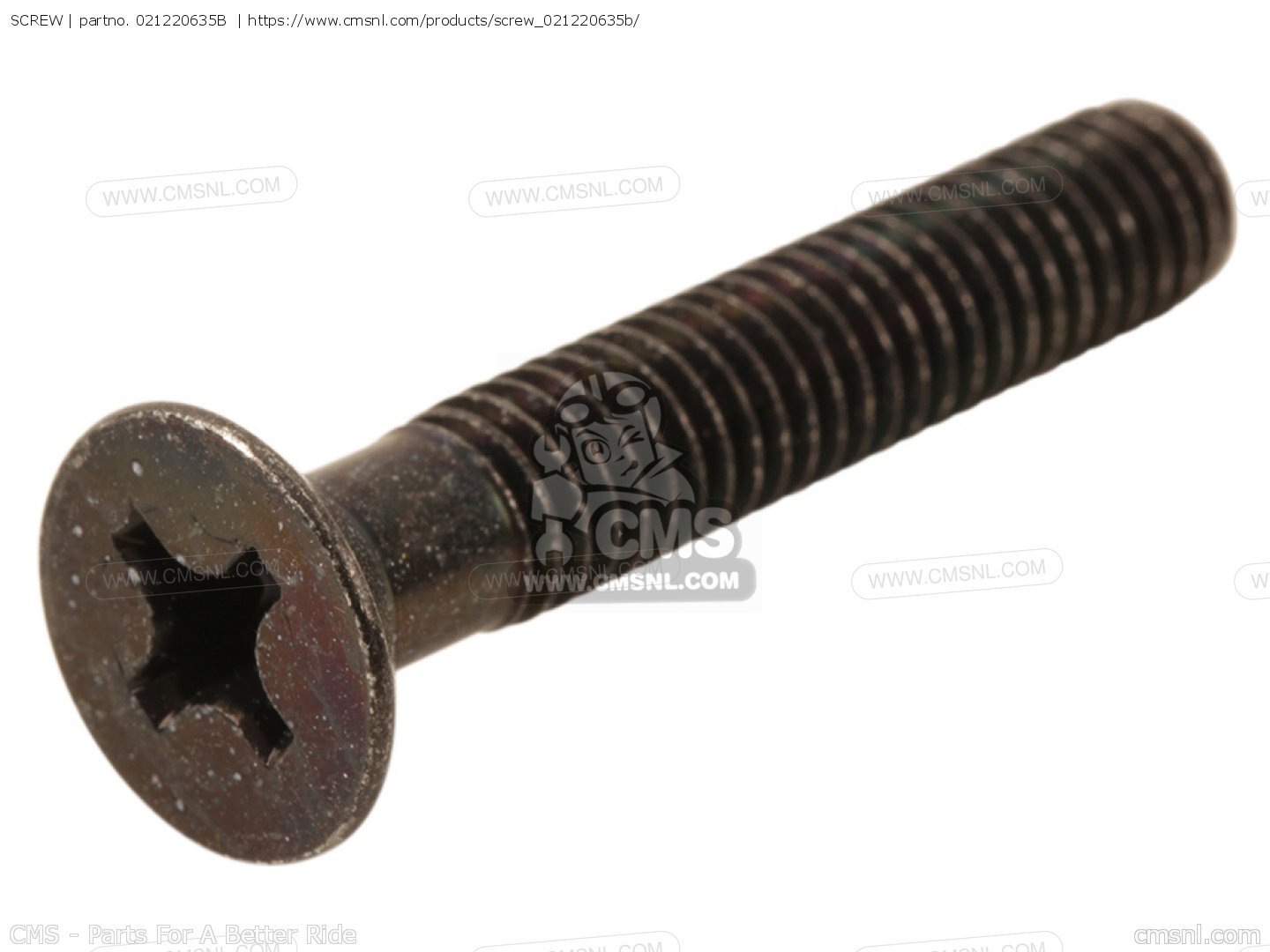 Suzuki Motorcycle Screw