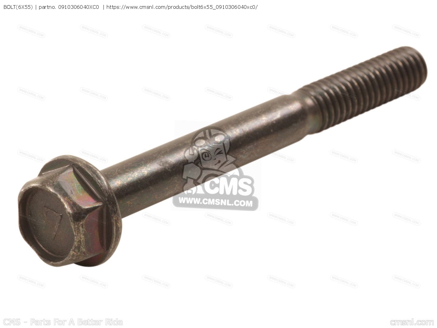 Suzuki Motorcycle Bolt (6X55)