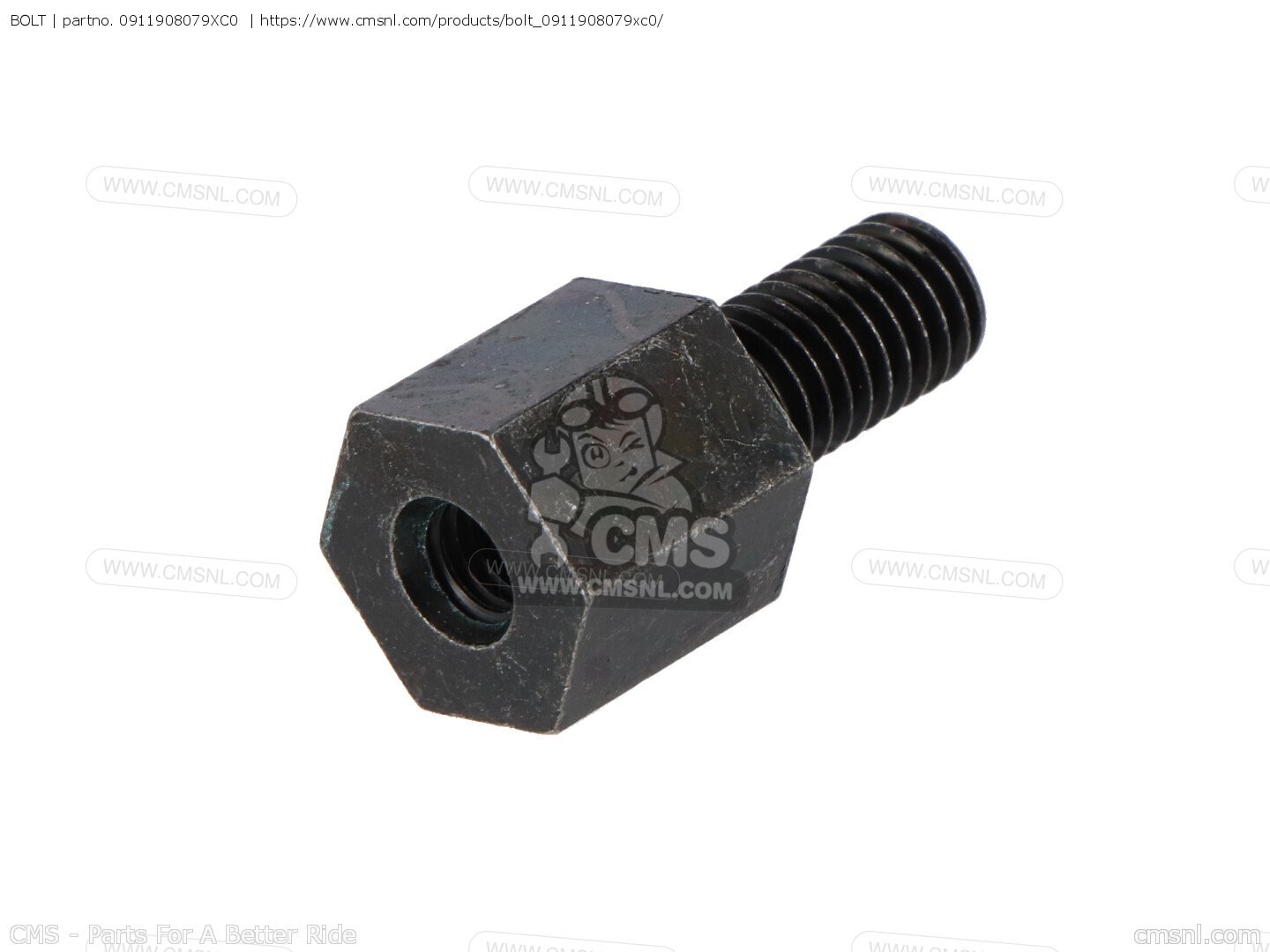 Suzuki Motorcycle Bolt - Oil Gallery In
